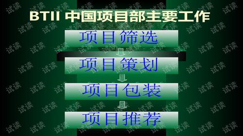 兆联公司与融资项目策划业务介绍商业计划书精品模板.ppt